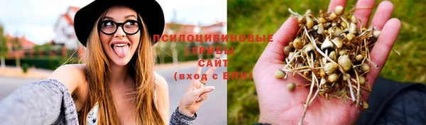 МДМА Арсеньев