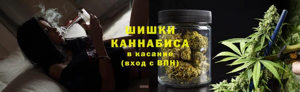 ешки Аркадак