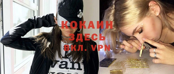 ешки Аркадак