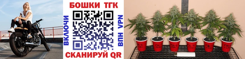 Каннабис сатива  ОМГ ОМГ рабочий сайт  Геленджик  где можно купить наркотик 